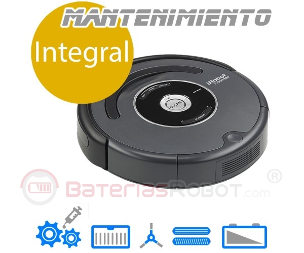 Reinigung und Wartung service Roomba (Spanien)